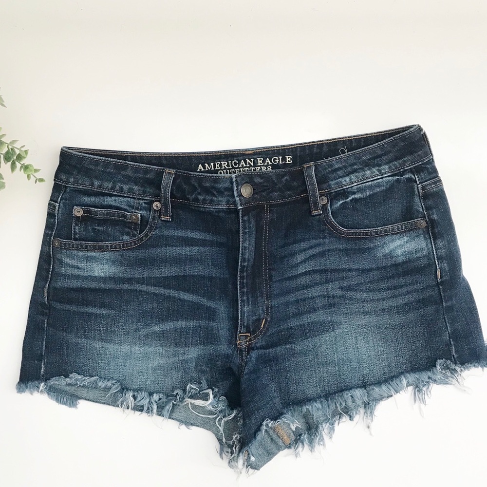 AEO | Vintage Hi-Rise Festival Denim Shorts Sz. 12